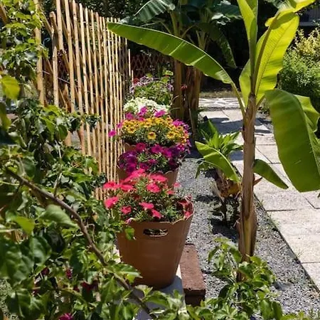 Bougainvillea House With Private Garden * 칼라마타