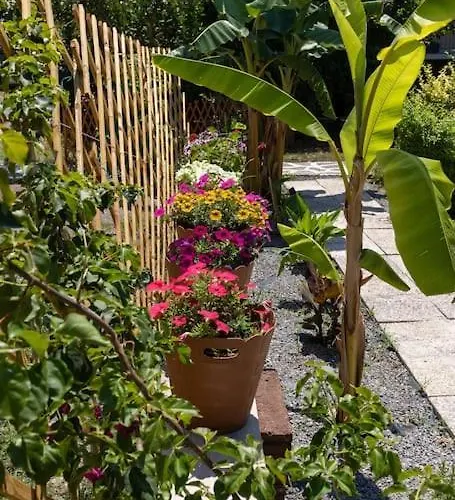 Bougainvillea House With Private Garden * Kalamata