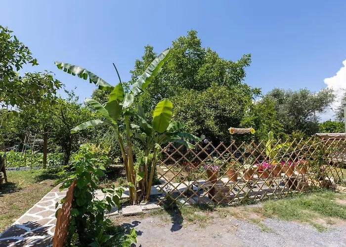 Bougainvillea House With Private Garden Lägenhet